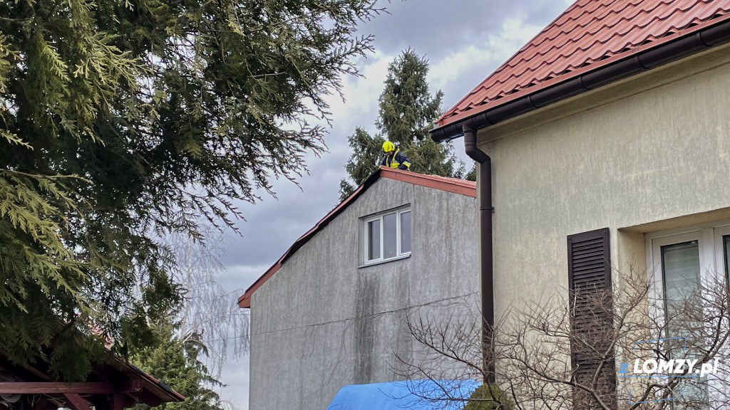 Poderwany dach i drzewo na samochodzie