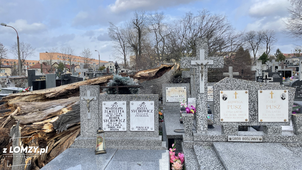 Huragan przewrócił ogromne drzewo na Starym Cmentarzu [FOTO]