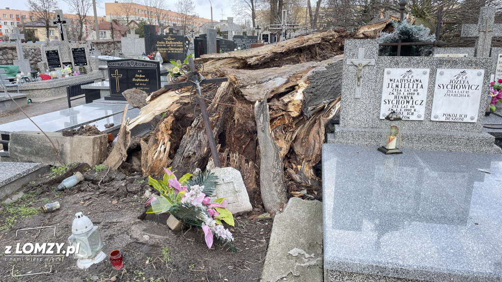 Huragan przewrócił ogromne drzewo na Starym Cmentarzu [FOTO]