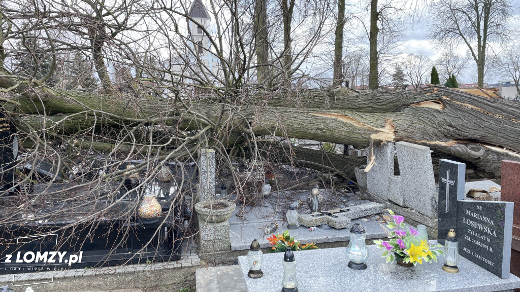 Huragan przewrócił ogromne drzewo na Starym Cmentarzu [FOTO]