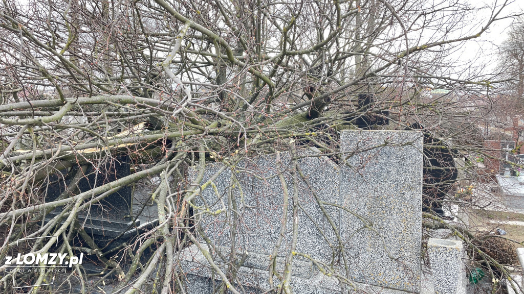 Huragan przewrócił ogromne drzewo na Starym Cmentarzu [FOTO]