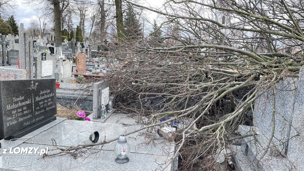 Huragan przewrócił ogromne drzewo na Starym Cmentarzu [FOTO]