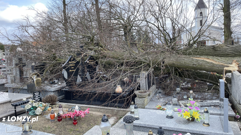 Huragan przewrócił ogromne drzewo na Starym Cmentarzu [FOTO]
