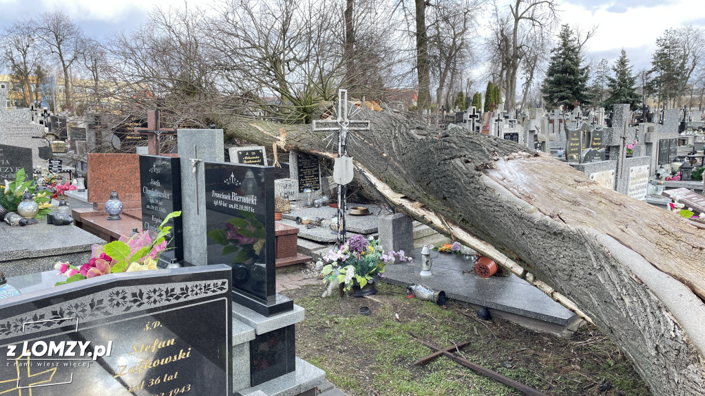 Huragan przewrócił ogromne drzewo na Starym Cmentarzu [FOTO]