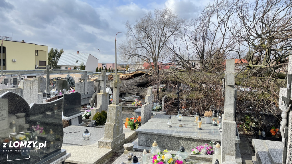 Huragan przewrócił ogromne drzewo na Starym Cmentarzu [FOTO]