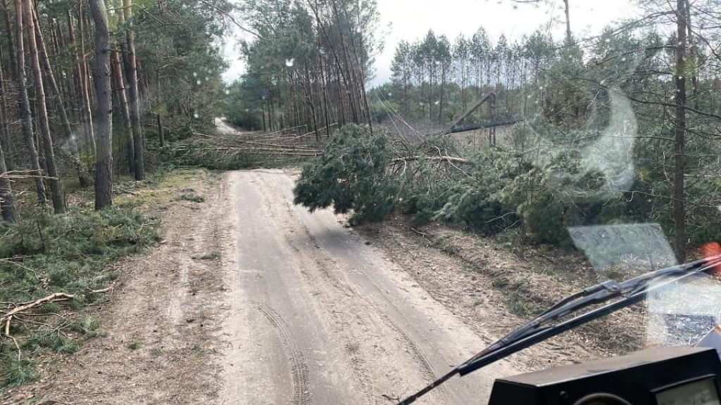 Skutki sobotniej nawałnicy