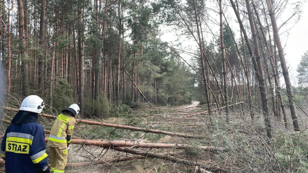 Skutki sobotniej nawałnicy