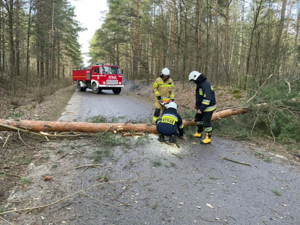 Skutki sobotniej nawałnicy