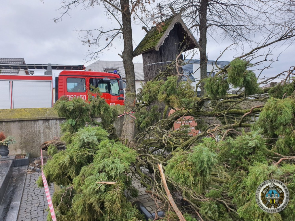 Po wichurze zagrożone były zabytki w skansenie!