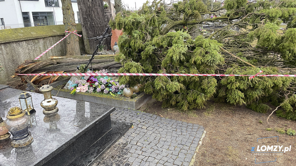 Po wichurze zagrożone były zabytki w skansenie!