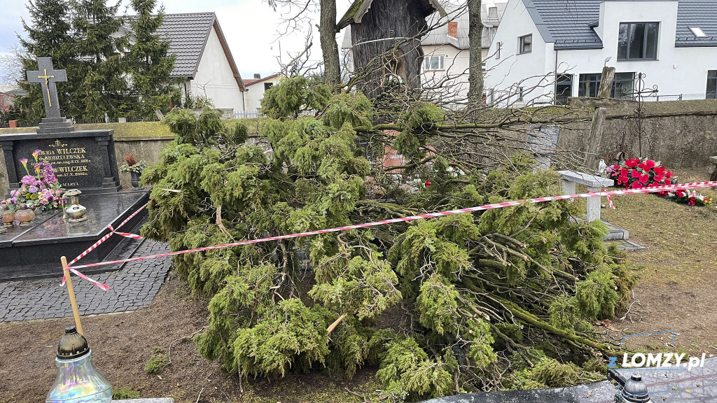 Po wichurze zagrożone były zabytki w skansenie!