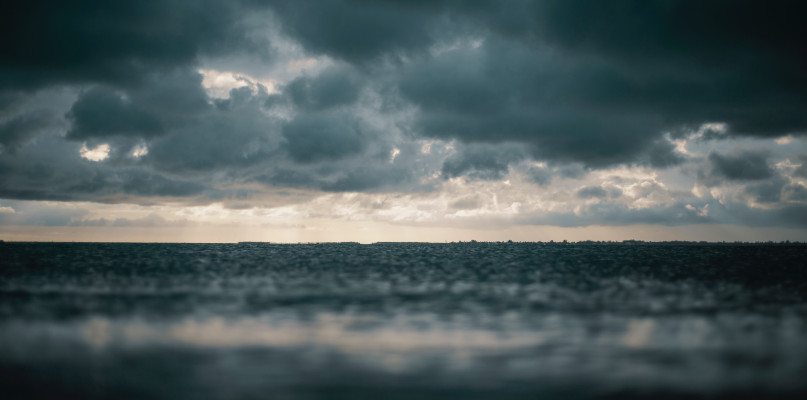 fot. pexels