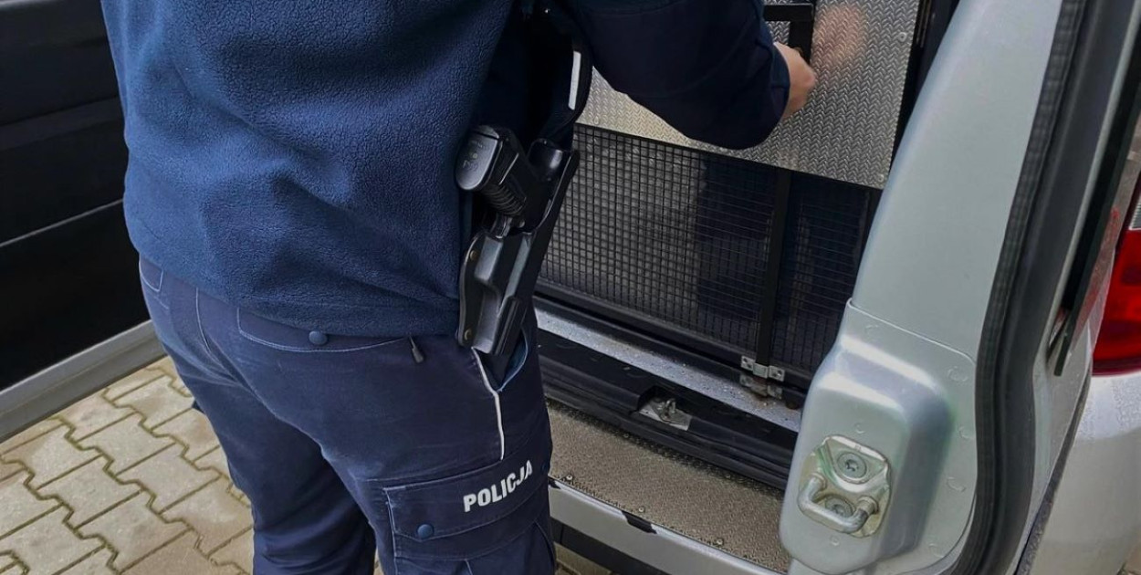 Źródło: KPP Kolno