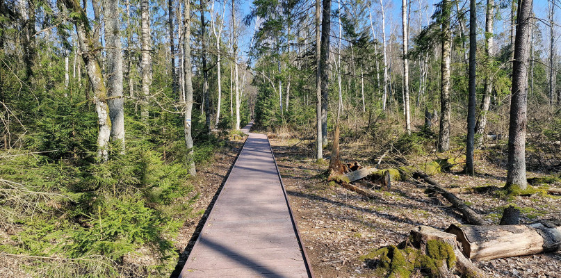 Paweł Wądołowski/Polskie Radio Białystok