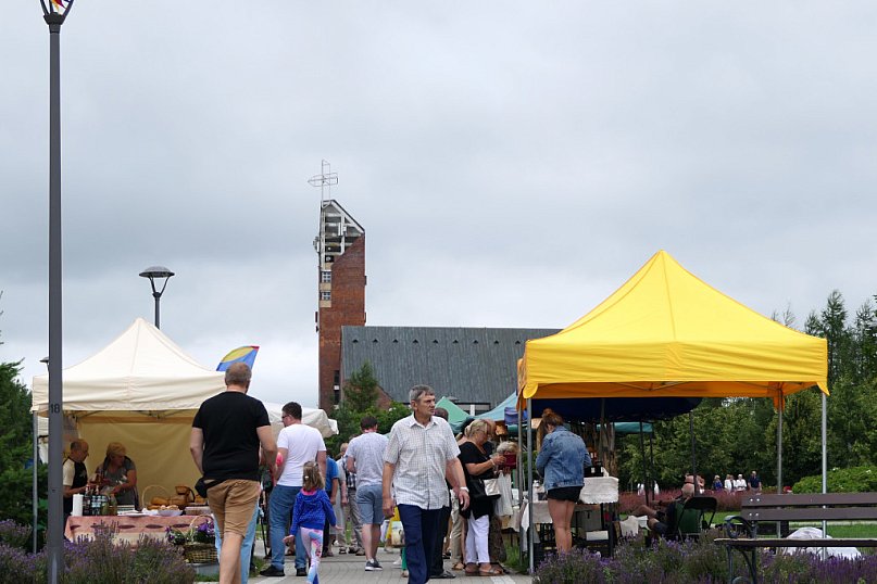 Spotkanie z alpakami, czyli Jarmark &quot;Zasmakuj w Łomży&quot;