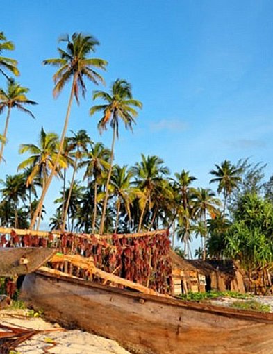Najlepsze wycieczki fakultatywne na Zanzibarze-23000