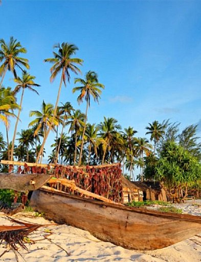 Najlepsze wycieczki fakultatywne na Zanzibarze-23000