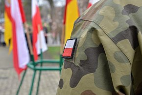 Wojsko zaprasza Polaków. Zacznie się w maju, skończy się w lipcu-25097