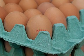 Salmonella na jajach znanej marki. Nie jedz, jeśli masz je w lodówce!-27883