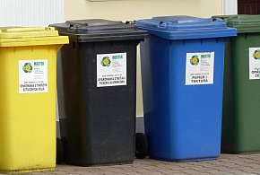 Koniec z darmowymi workami na śmieci. Tak zmieniają się zasady w gminach-27950