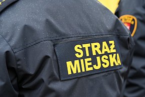 Zapuka strażnik, zapłacisz karę. Ruszyły kontrole w całej Polsce-28431