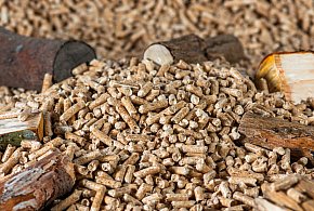 Drożeje popularny opał. Miliony Polaków dostaną po kieszeni tej zimy-28515