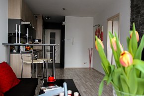 Rewolucja w wynajmie na doby. Nadchodzi koniec "wolnej amerykanki"-28714