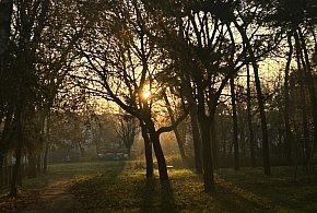 Nadchodzi najkrótszy dzień w 2025 roku. Sprawdź, kiedy przypadnie-28796