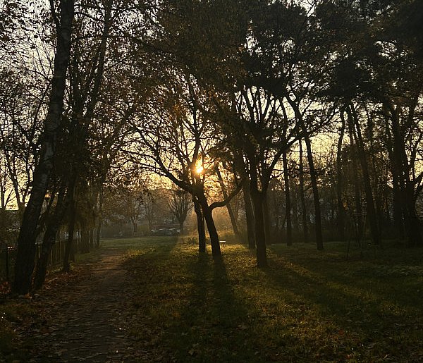 Nadchodzi najkrótszy dzień w 2025 roku. Sprawdź, kiedy przypadnie-28796