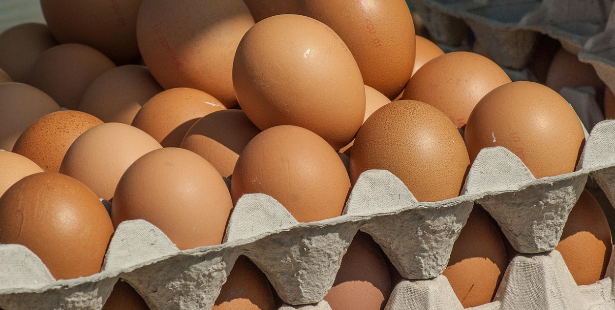 Obraz jacqueline macou z Pixabay